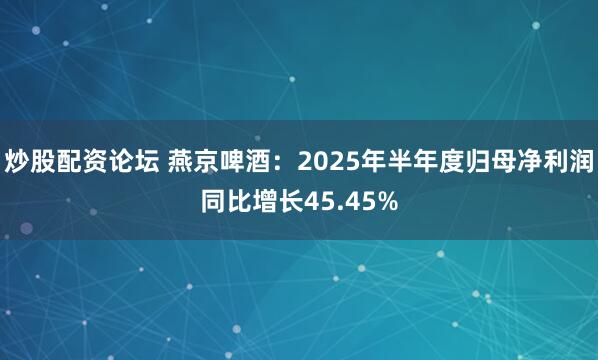 炒股配资论坛 燕京啤酒：2025年半年度归母净利润同比增长45.45%